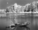 Balsam Pond