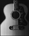 Gibson Front