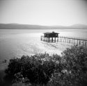 waters edge