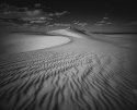 Great Sandsee II