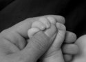 hands