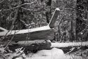 Snow Covered Fence
