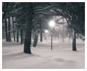 Gladstone Park
