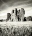 Carrickdexter Castle