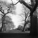 Appley Park 2