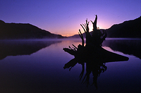Dawn on Lake Cowichan