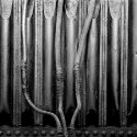 Iron Study
