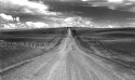 Summer Bleakness