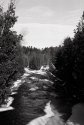 Credit River