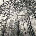 Winter Crown, Eagle Creek