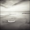 Salton Sea Tire