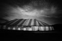 apocalyptic roadside revival