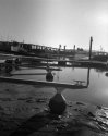 Bembridge Harbour