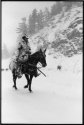 Cowboy in snow