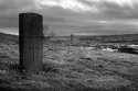 The Gateshead Rocket