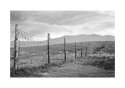 Mystery fence.