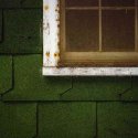 Old hunting camp window & siding
