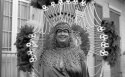 Mardi Gras 1