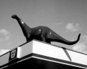 Dino