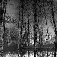 Reflections by the Lagan river