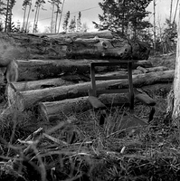 Old chair in the forest