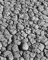 Stone and Mud