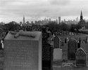 Calvary Cemetery 2