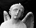 Calvary Cemetery 3