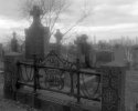 Calvary Cemetery 5