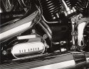 From the Harley Diaries