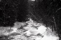 West Credit River