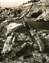 Trident's trike (lith print)