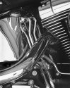 Harley Diaries