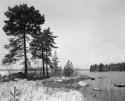 early spring