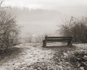 Bench