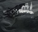 River jewels 1