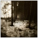 Emptiness III
