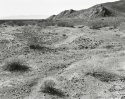 Near Cadiz, California, 2008