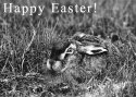 happy_easter