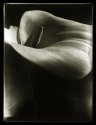 Cala Lilly