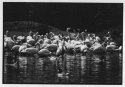 Wetlands_Glous