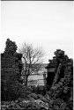 Ideal Fixer-Upper