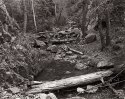 Deadfall Stream