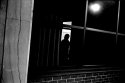 shadow