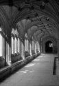 The Cloisters, Lacock Abbey