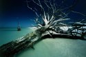 Cayo Costa #1