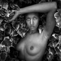 Nude 01