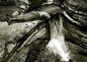 Drinking from waterfall
