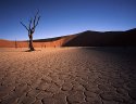 Death Vlei II