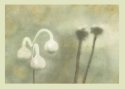 Quintet